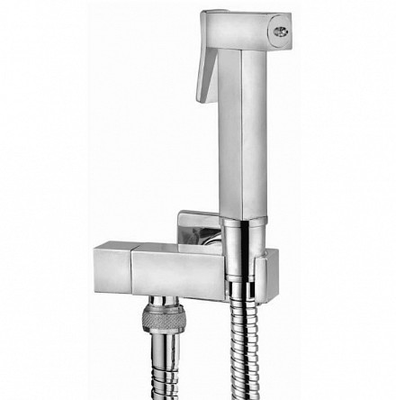 Idroscopino Sany Q.JPG